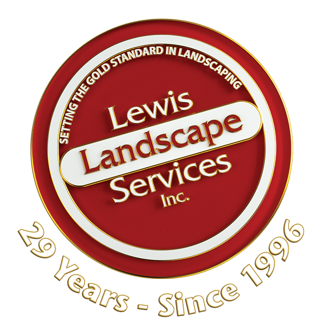 3D logo 29 years
